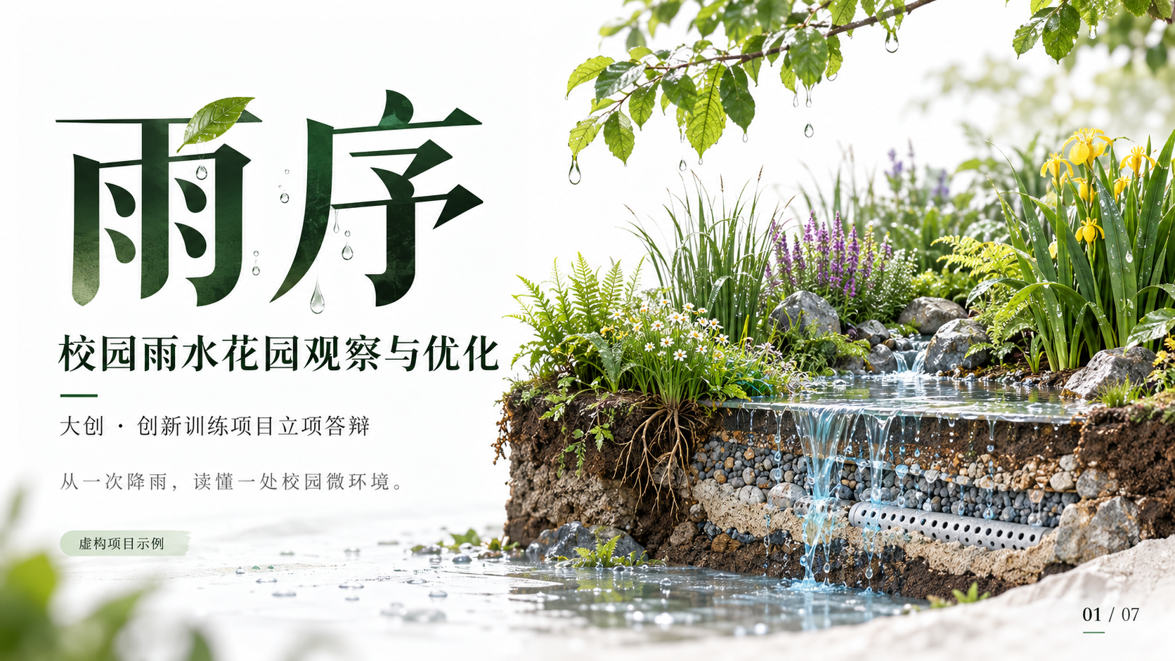 大创立项七页概念